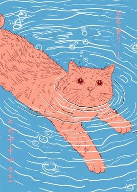 cat swimming