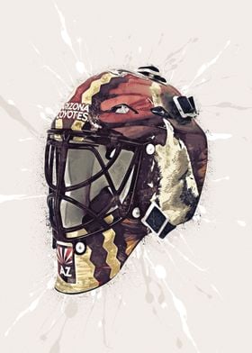 Arizona Hockey Helmet