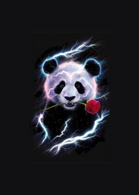 Panda and a rose