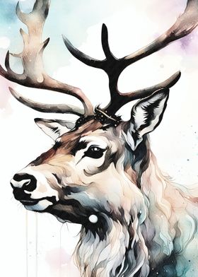 Deer watercolor