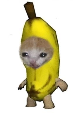 Banana Kitten Meme