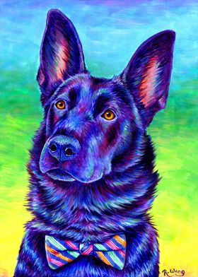 Blue German Shepherd Dog