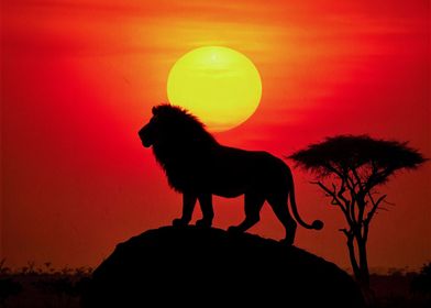 Silhouette a lion 
