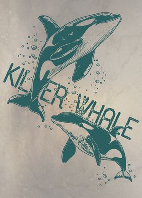 Killer Whale Orca 