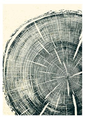 tree rings