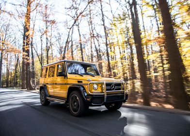 Mercedes Benz AMG G63 