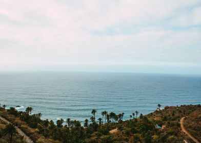 Palm Coast Horizon