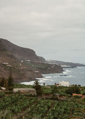 Coastal Hillside View