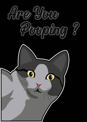 Funny Cat Pooping Animals