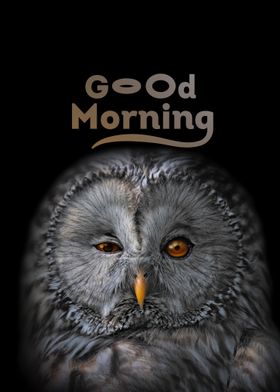 Funny Owl Good Morning