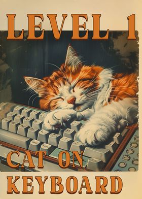 Cat on Keyboard Level 1 