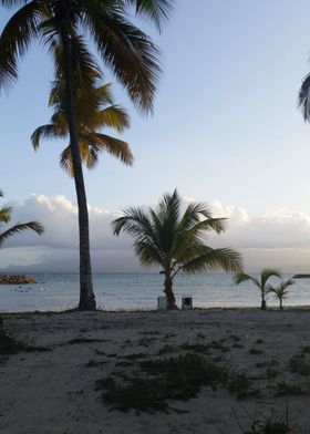 Beach in Guadeloupe