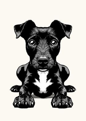 Patterdale Terrier