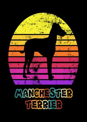 Manchester Terrier 