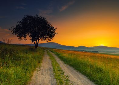 Summer sunset in mountains