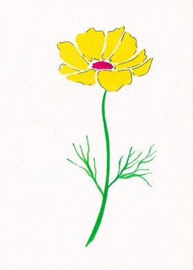 yellow daisy flower