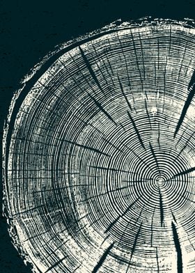 tree ring wood cut