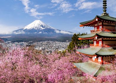 Mount Fuji with Pagoda
