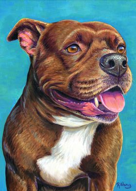 Staffordshire Bull Terrier