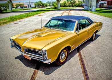 Pontiac GTO