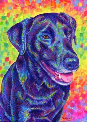 Rainbow Black Labrador Dog