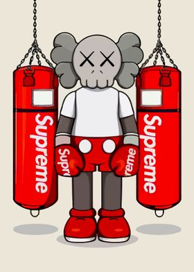 Kaws Boxing