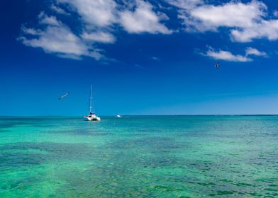 Catamaran cruise to island