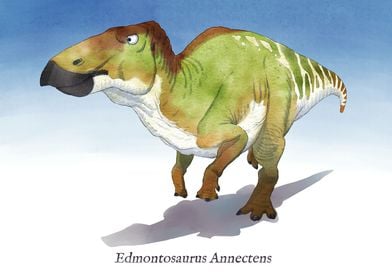 E is for Edmontosaurus