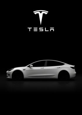 Tesla Model S White Cars