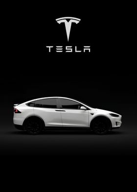 Tesla Model X White