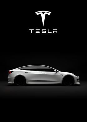 tesla model x white