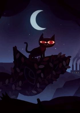 night in the woods