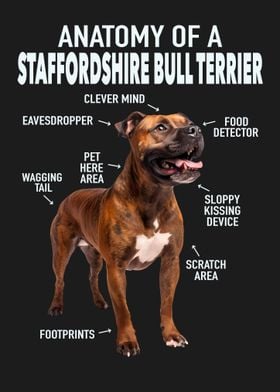 Staffordshire bull terrier