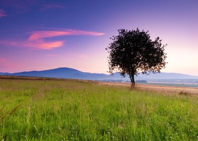 Purple sunset in mountains