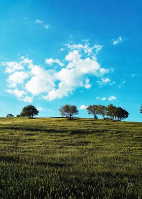 Spring of Kurdistan