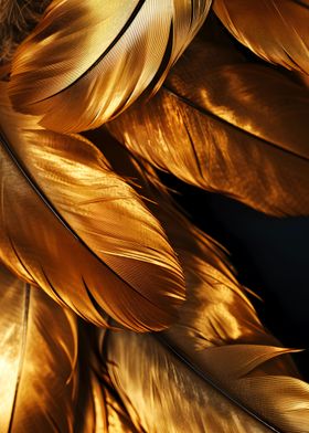 Golden Feathers 