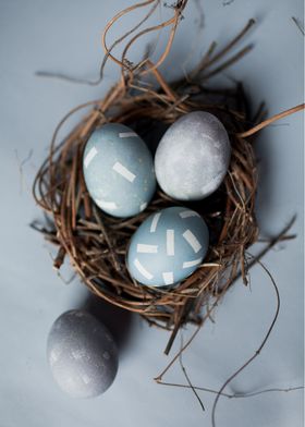 easter egg and nest