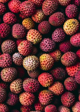 Rambutan Fruit Fantasy