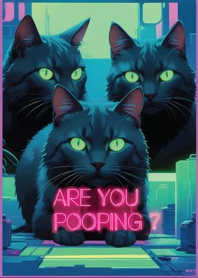 black cats are you pooping