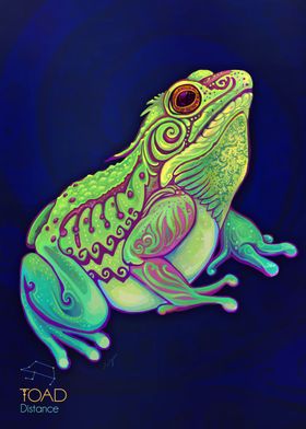 Toad  Frog Spirit Animal