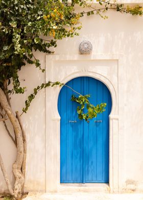 Blue door and tree Tunisia