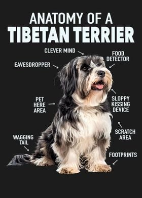 Tibetan terrier