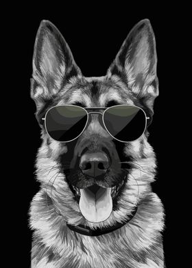 Cool German Shepherd