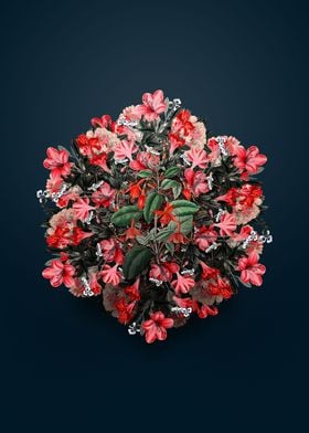 Standishs Fuchsia Flower