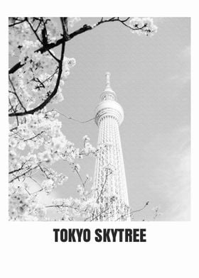 Tokyo skytree