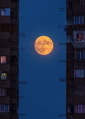 Super Moon among buildings