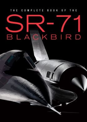 Black bird SR 17