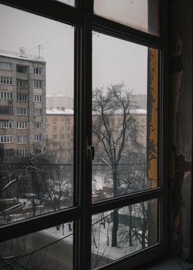 winter view