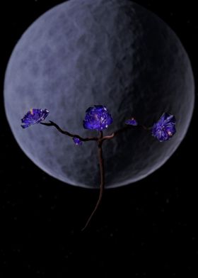 Moon Flower 2