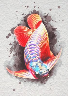 Fighting Fish Oil paint